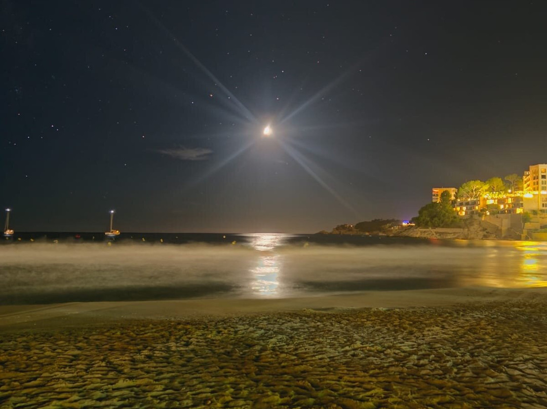 Playa Palmira-帕格拉必去景点