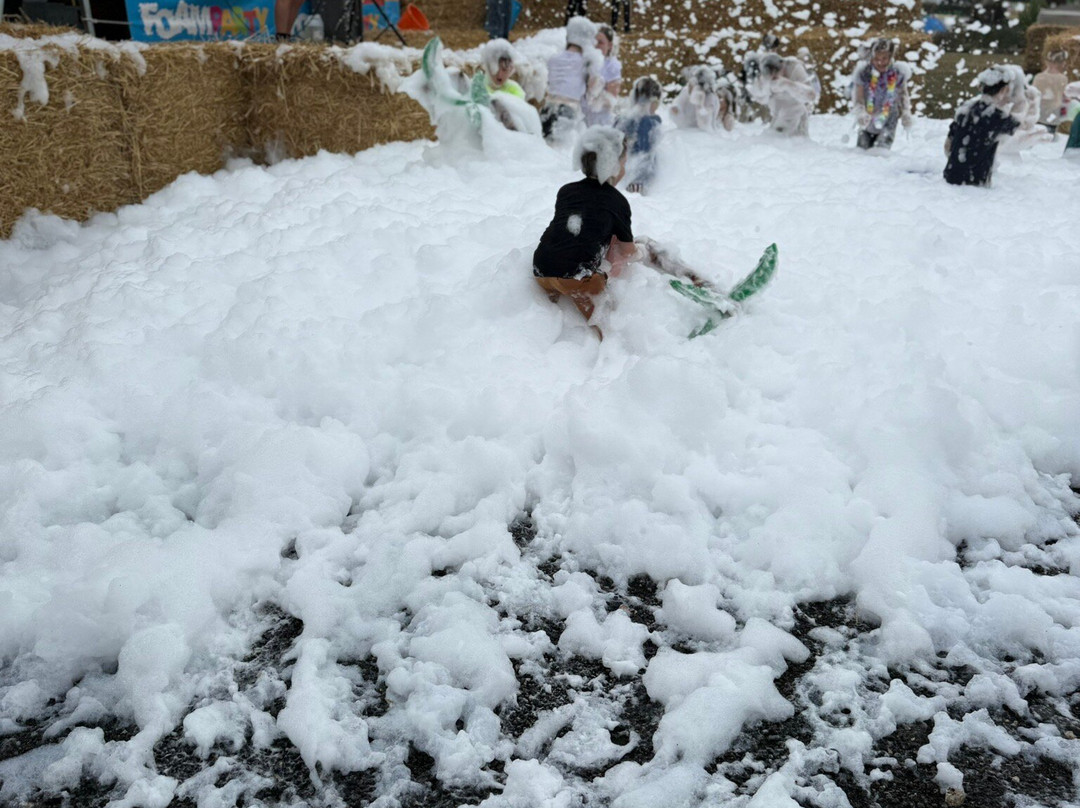 Lower Drayton Farm-Penkridge必去景点