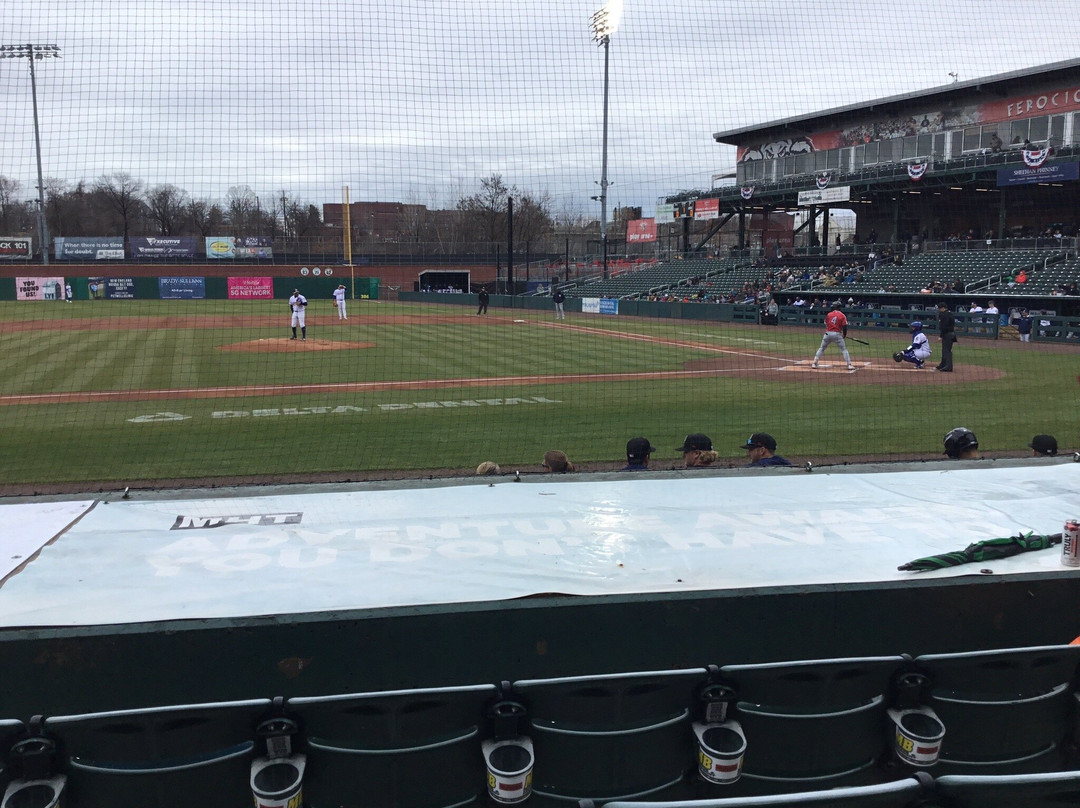 Delta Dental Stadium-曼彻斯特必去景点