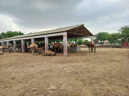 Vinayak Guest House主图