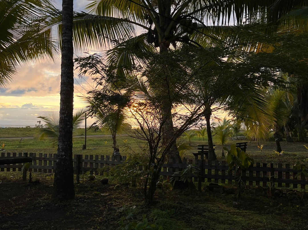 Ecolodge El Almejal主图