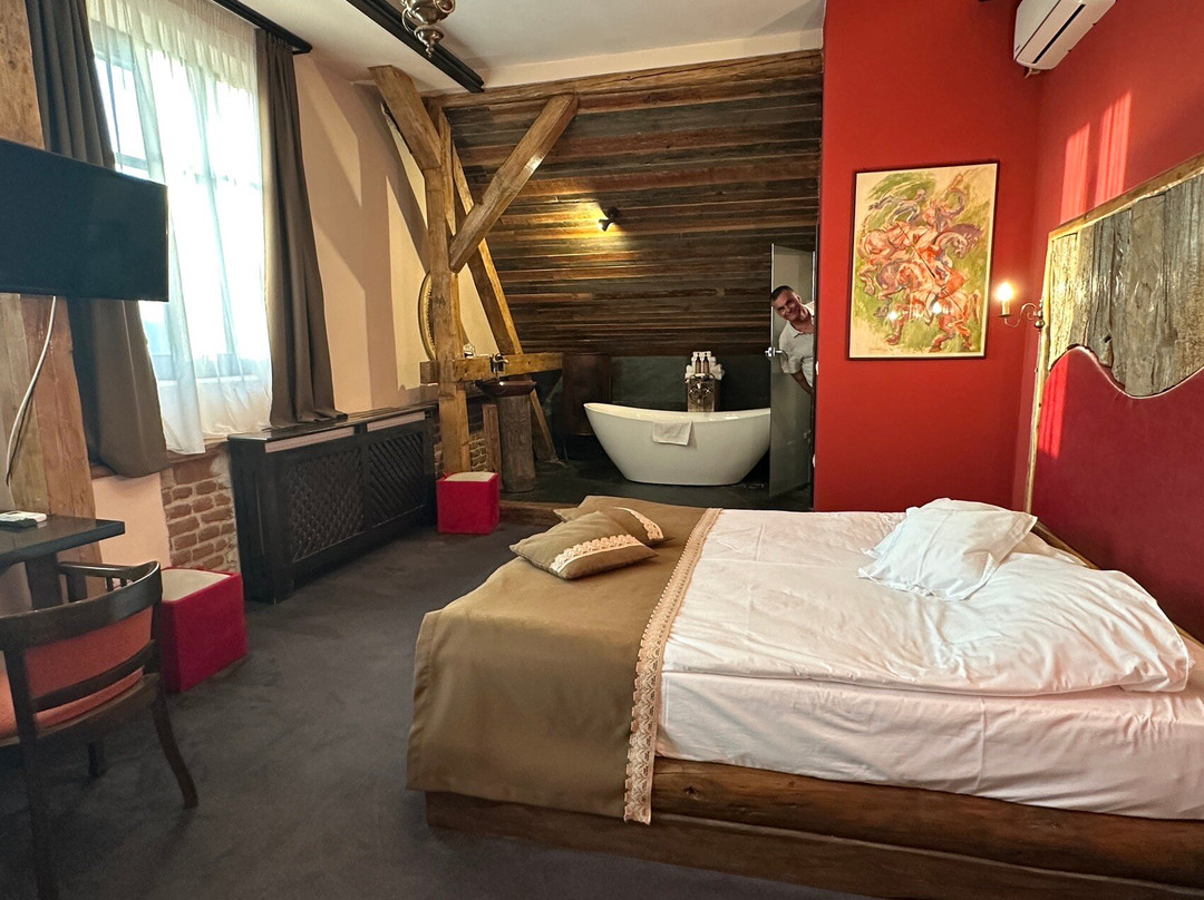 Castle Hotel Daniel主图