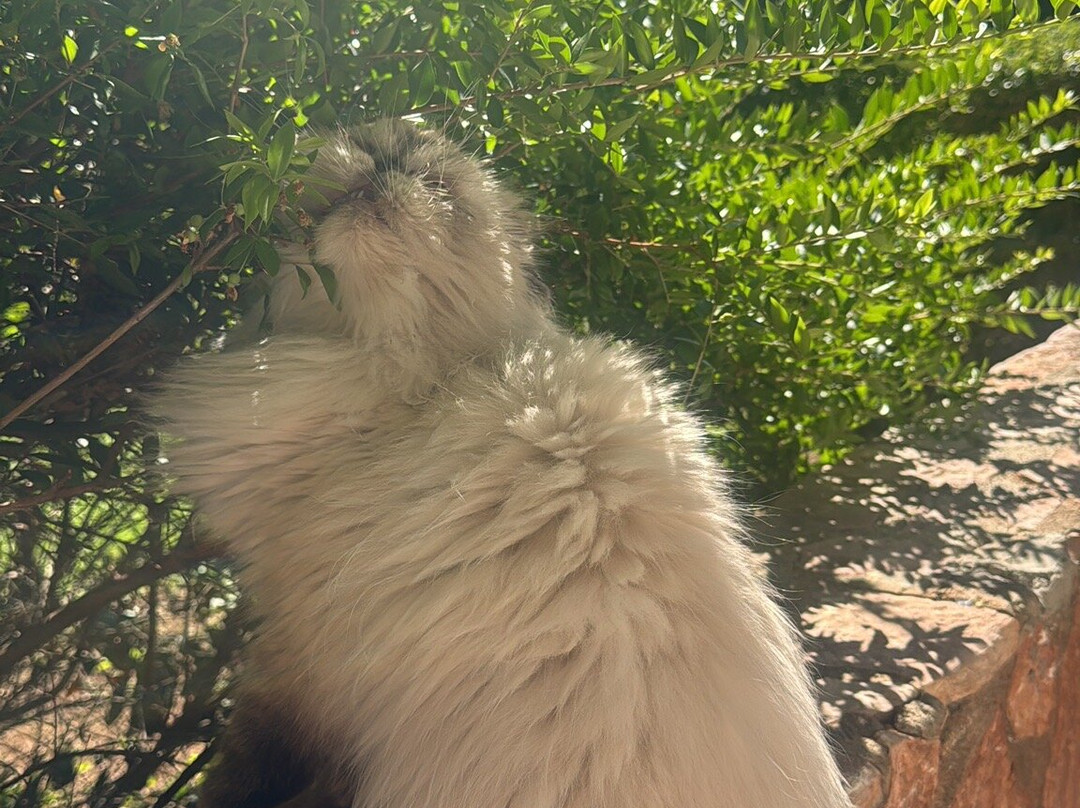 Argentario Lagoon Resort & Spa主图