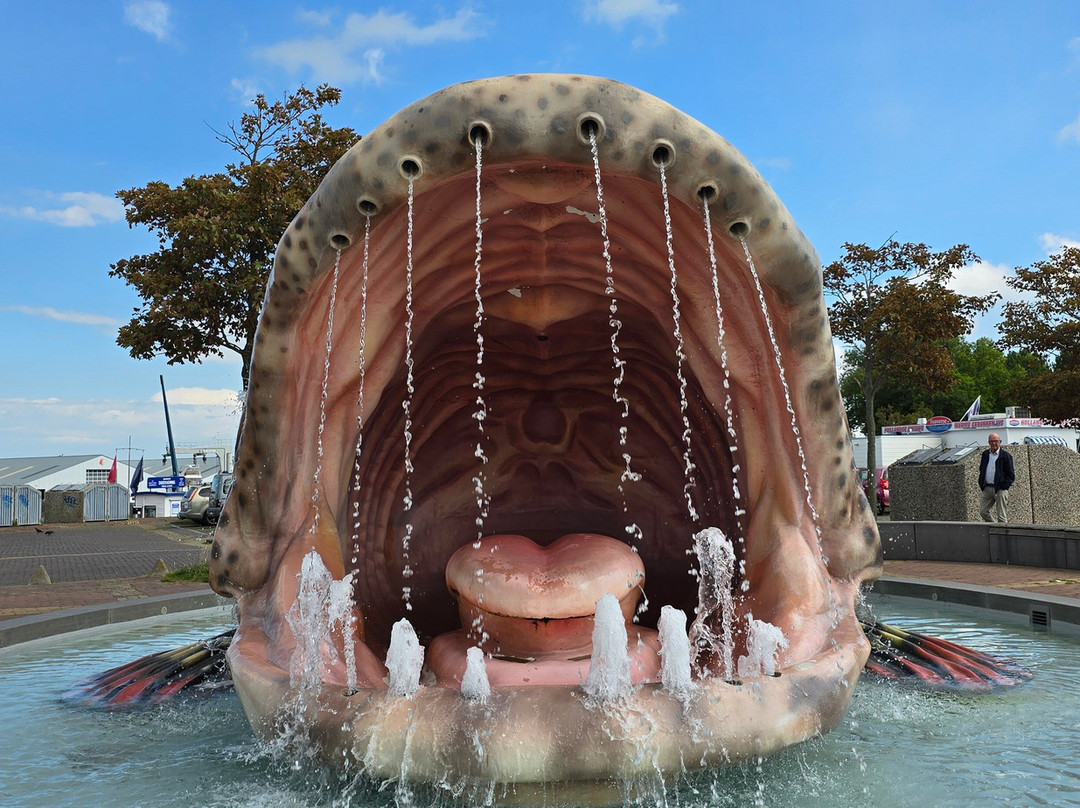 11fountains - De Vis Voor Stavoren-Stavoren必去景点