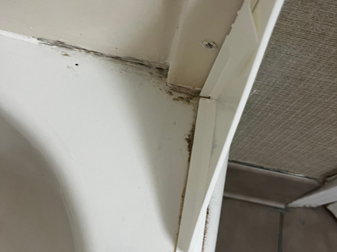 Comfort Inn & Suites主图