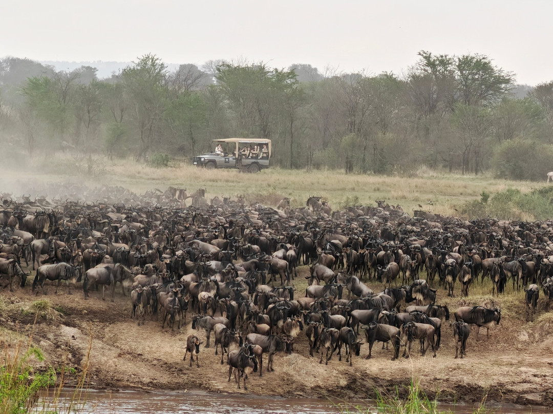 Operation Kilimanjaro-Marangu必去景点