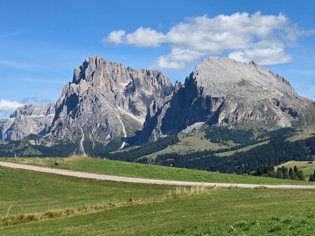 Seiser Alm - Alpe di Siusi-Alpe di Siusi必去景点