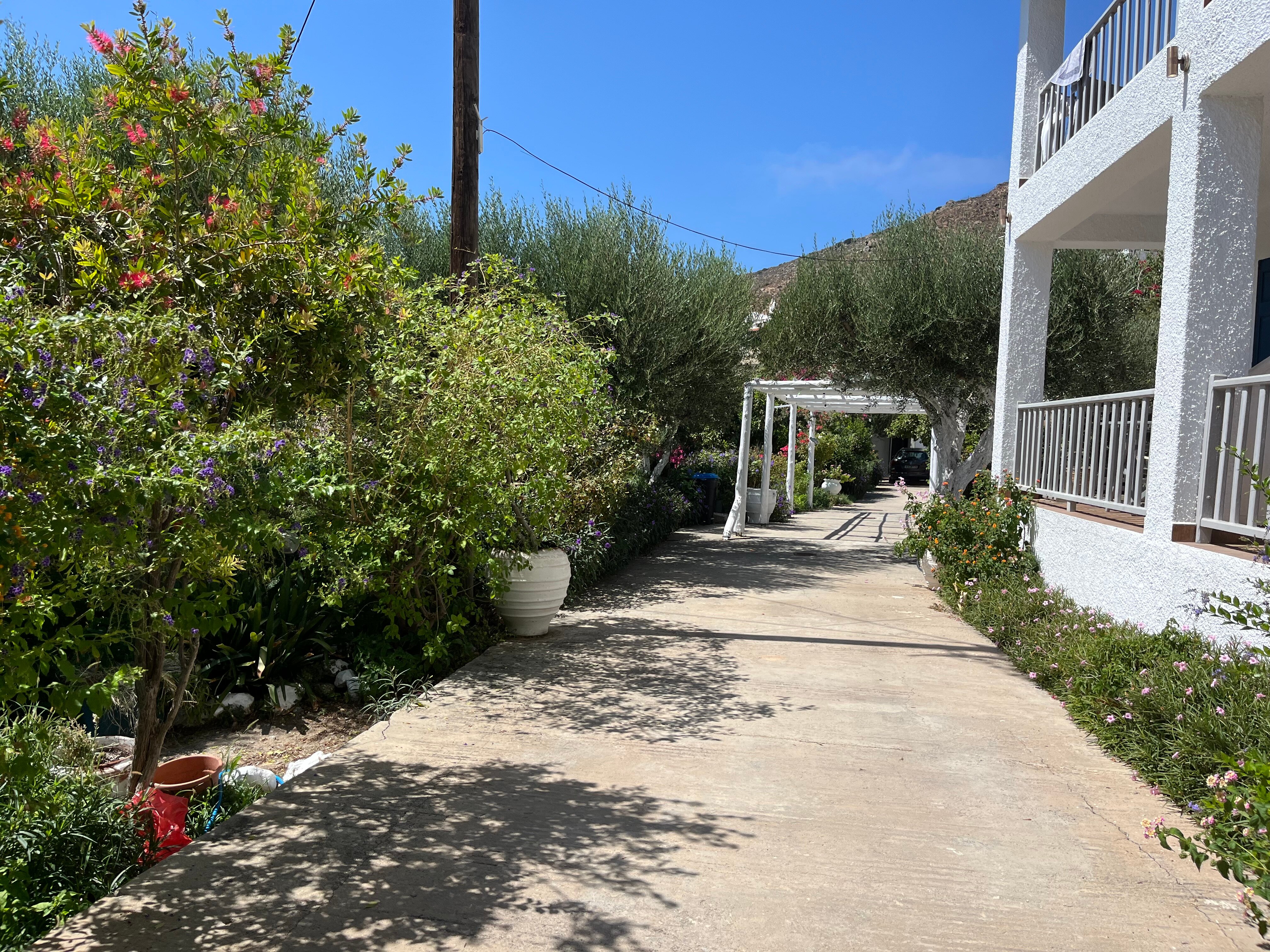 Harry's Paradise Apartments-官方