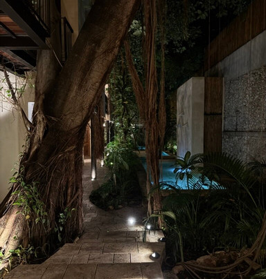 Treehouse Boutique Hotel主图