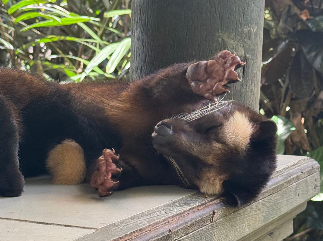 Bali Culture Tours-吉安雅必去景点