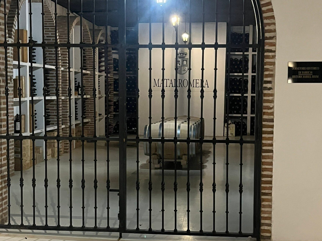 Bodega Matarromera-Valbuena de Duero必去景点