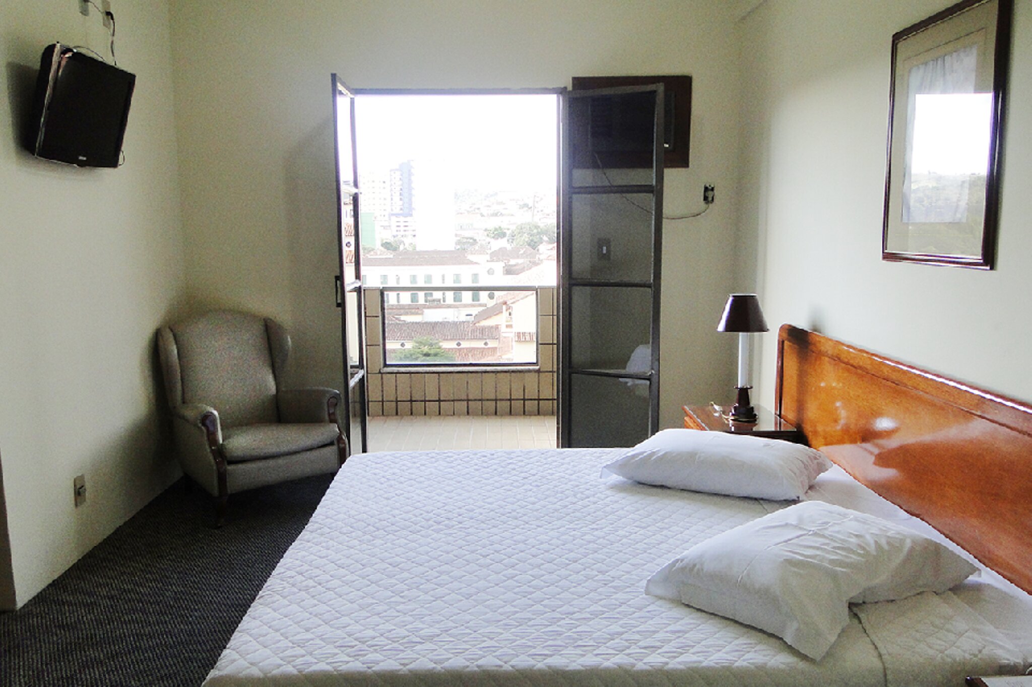 Hotel Lopes de Caxambu-客卧