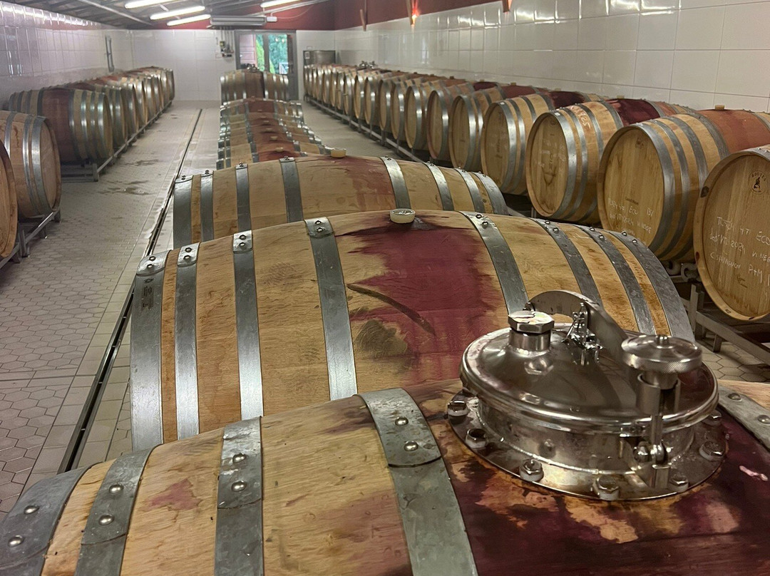 Bodega Castell Miquel-Alaró必去景点