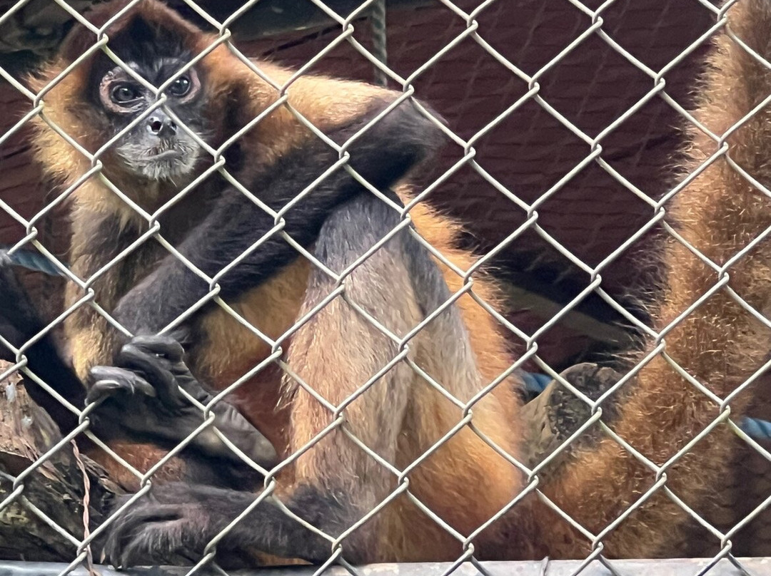 APAMI Wild Life-Portegolpe必去景点