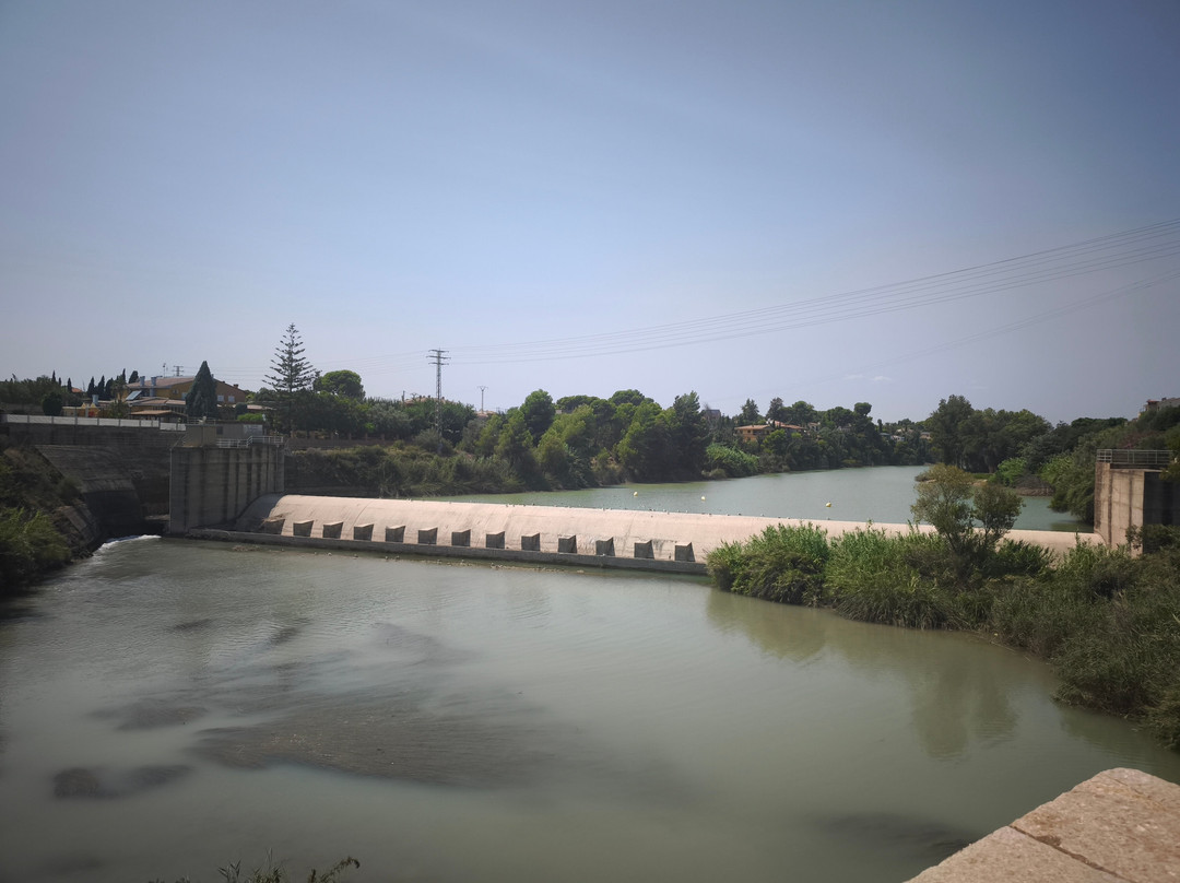 Ruta Botanica-Villarreal必去景点