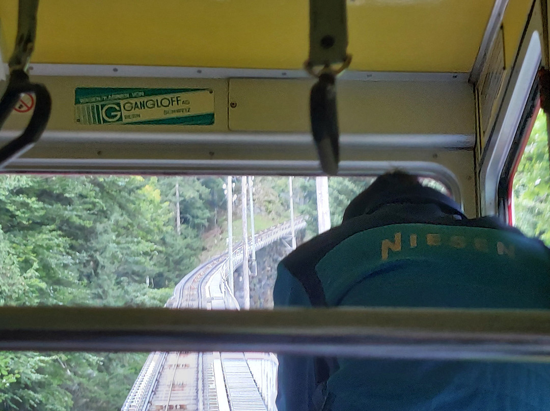 Niesenbahn-Muelenen必去景点