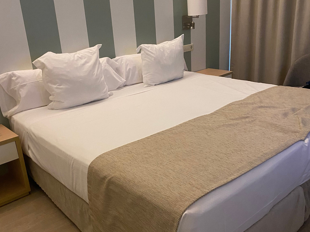 Seth Santo Tomás主图