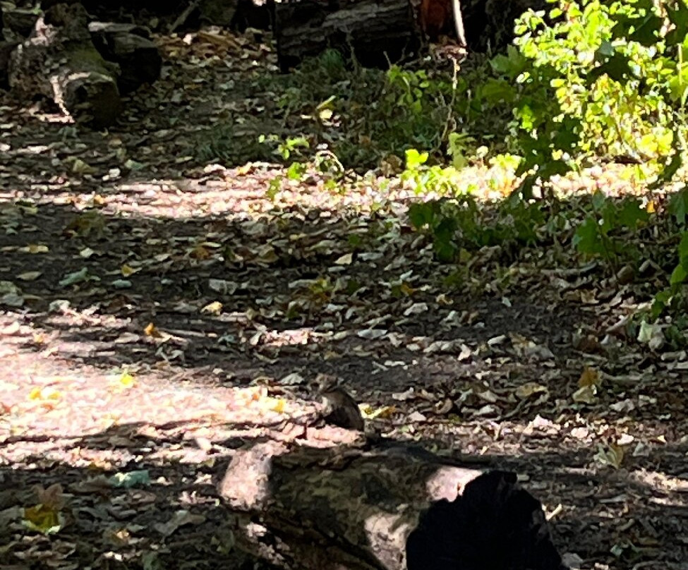 Abbaye du Rouge Cloitre-奥德尔赫姆必去景点