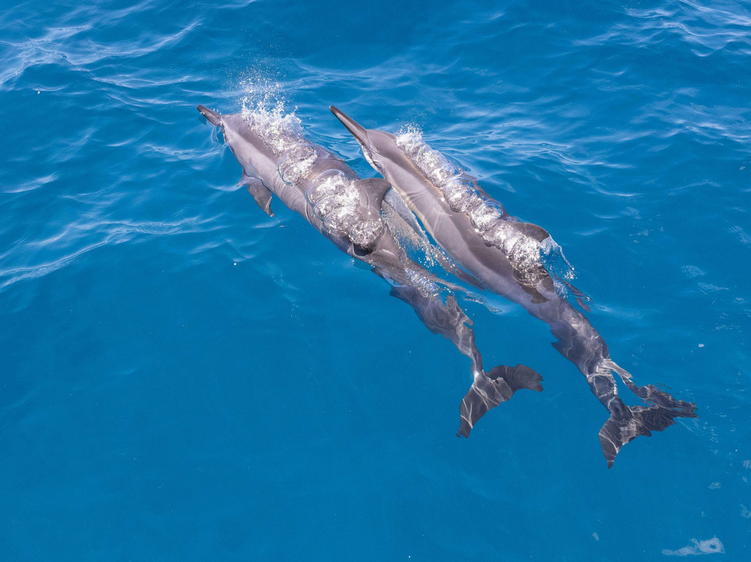 Captain Andy's-埃里埃利必去景点