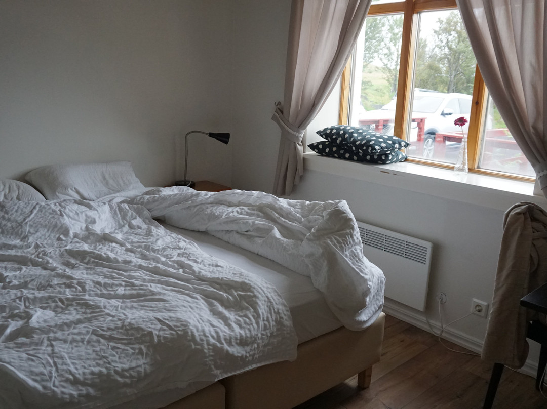Solheimahjaleiga Guesthouse主图