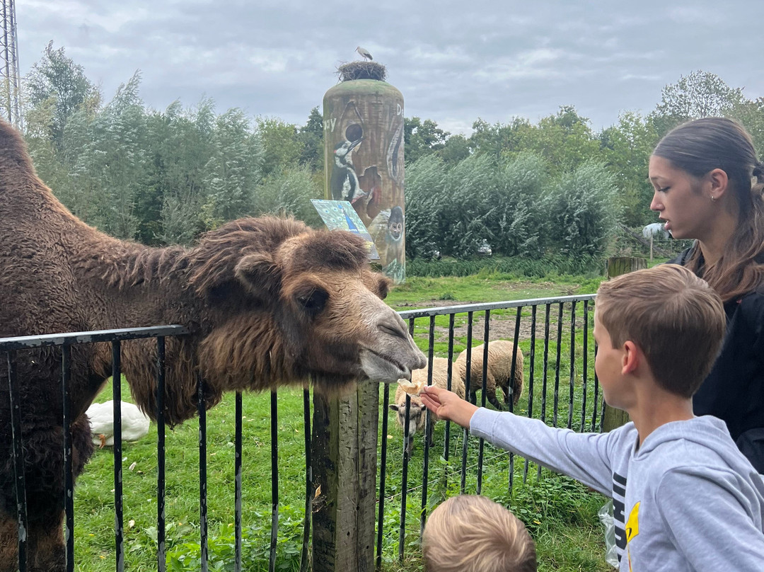 Uilen- en Dierenpark De Paay-Beesd必去景点