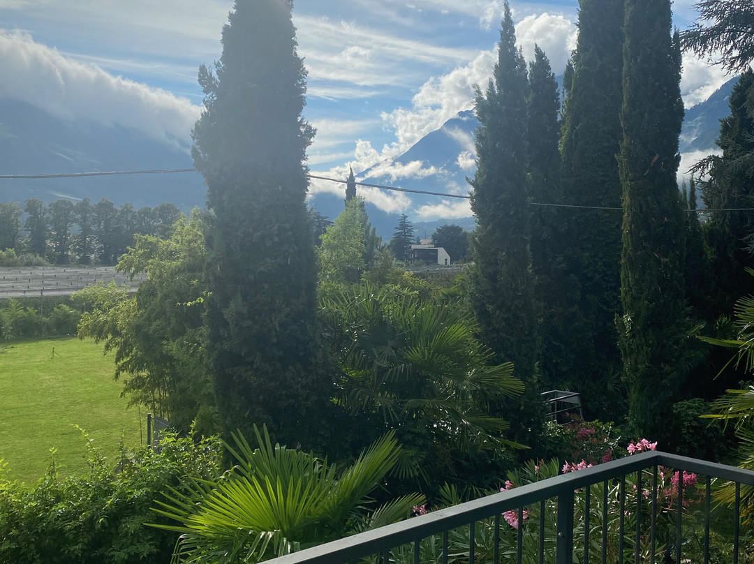 Hotel Villa Tivoli主图