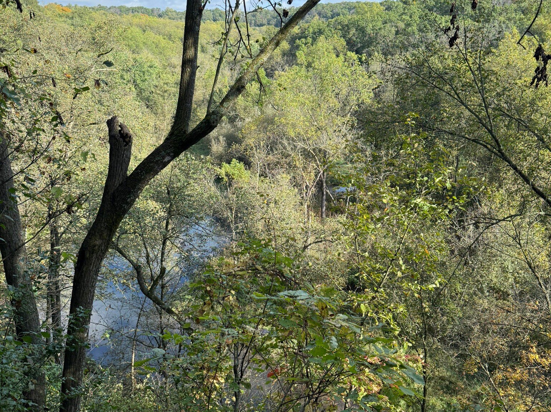 Carley State Park-Altura必去景点