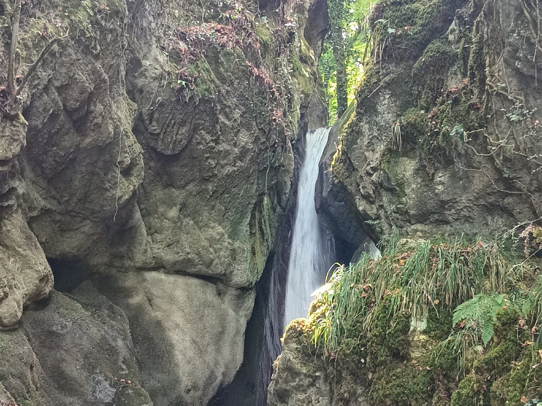 Cascata Del Demonio-Rotonda必去景点