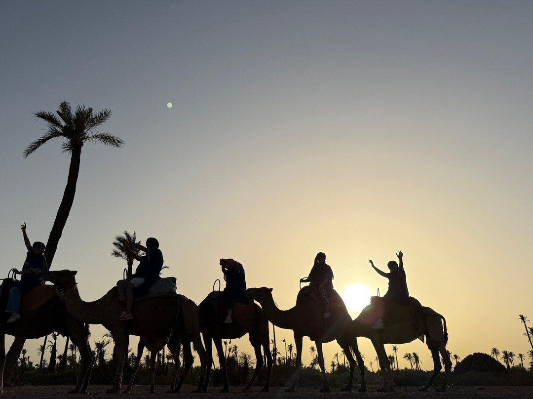 Le Rubis Oriental主图