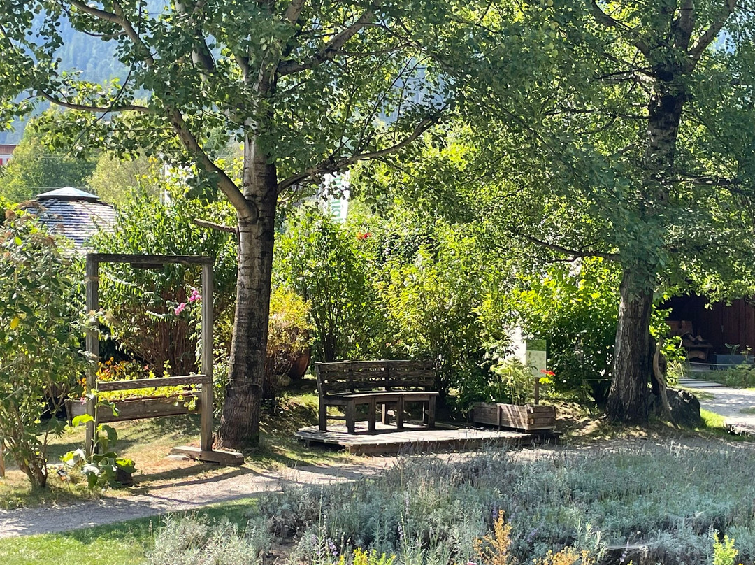 Vitalpinum-Assling必去景点