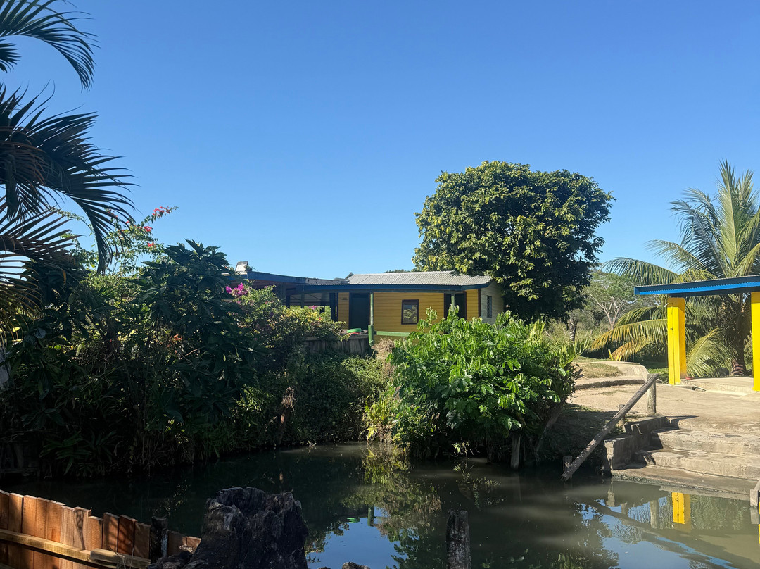 萨贝托泥浆温泉-纳迪市必去景点