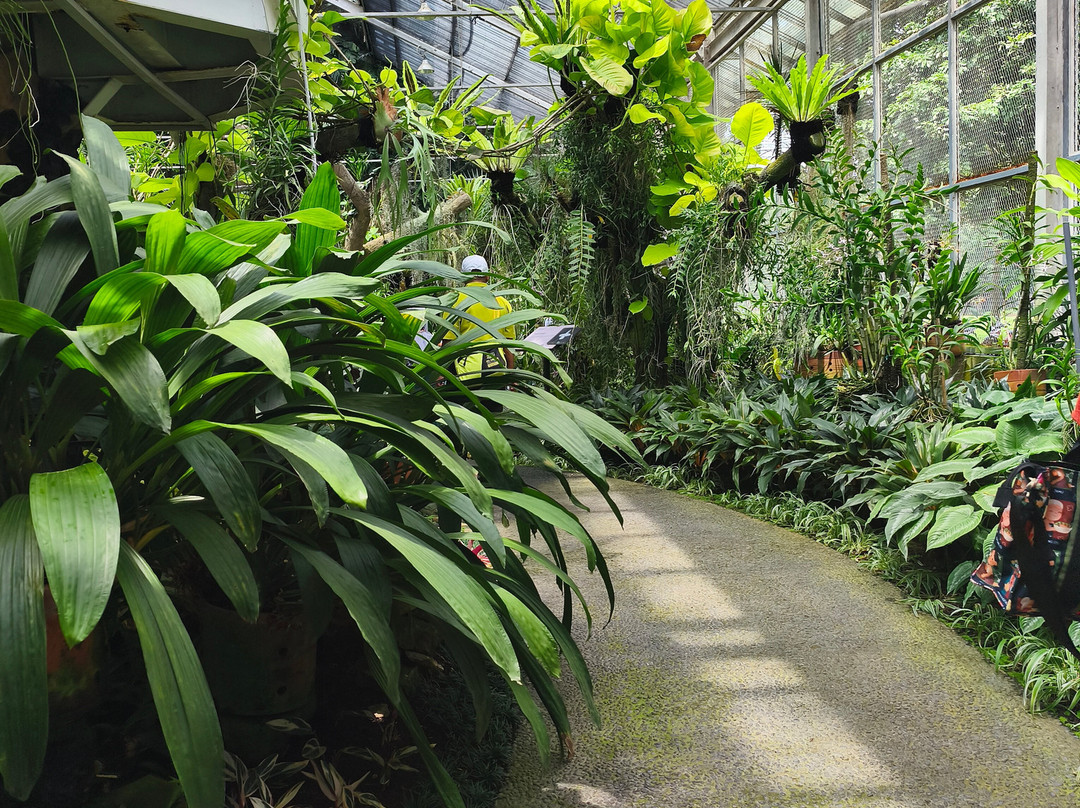 Travalcore Tour-雅加达必去景点