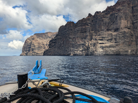 Diving Angel Tenerife-洛斯·吉甘特斯必去景点