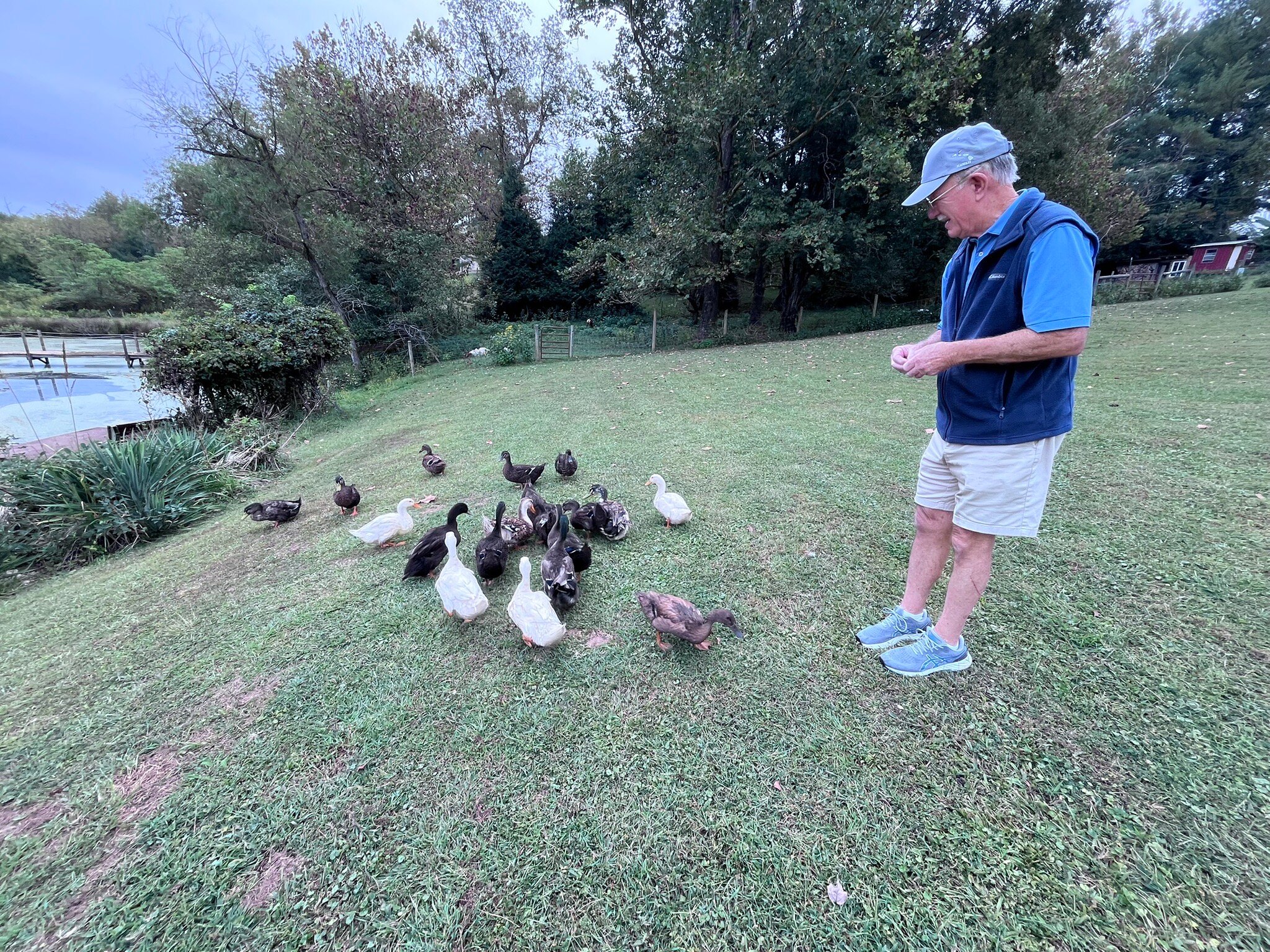 Vanquility Acres Inn & Peaksview Cottages-官方