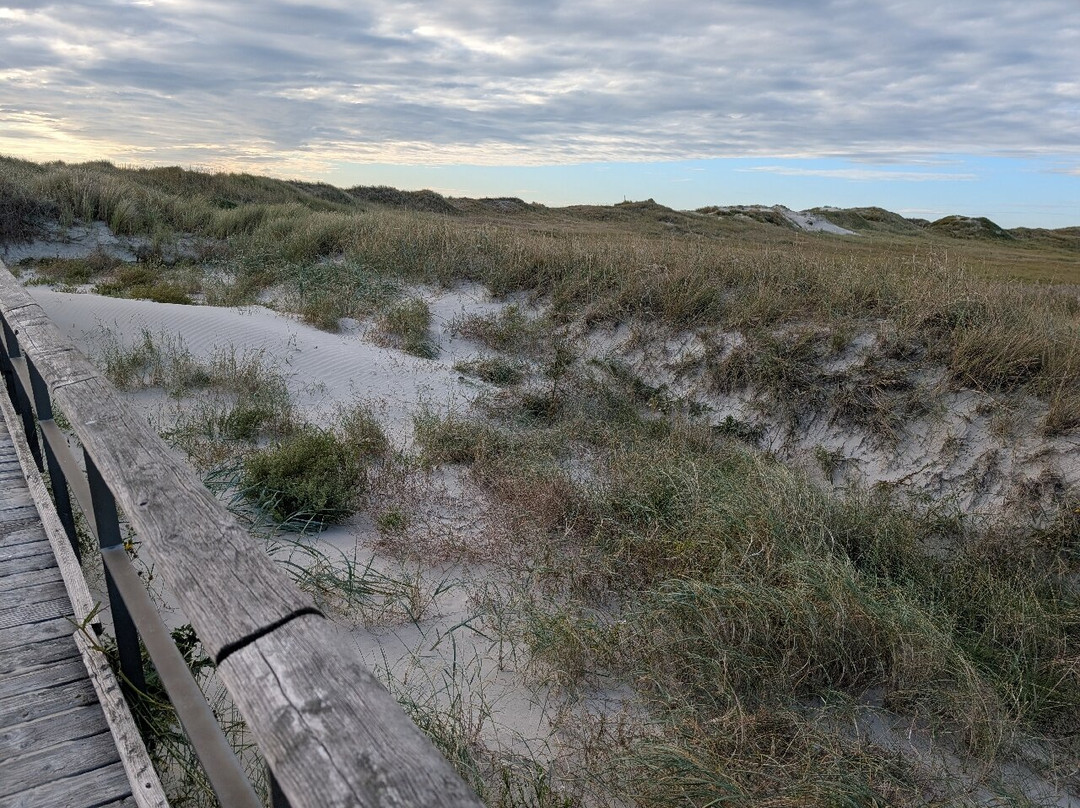 Sankt Peter Ording Strand-圣彼得奥尔丁必去景点