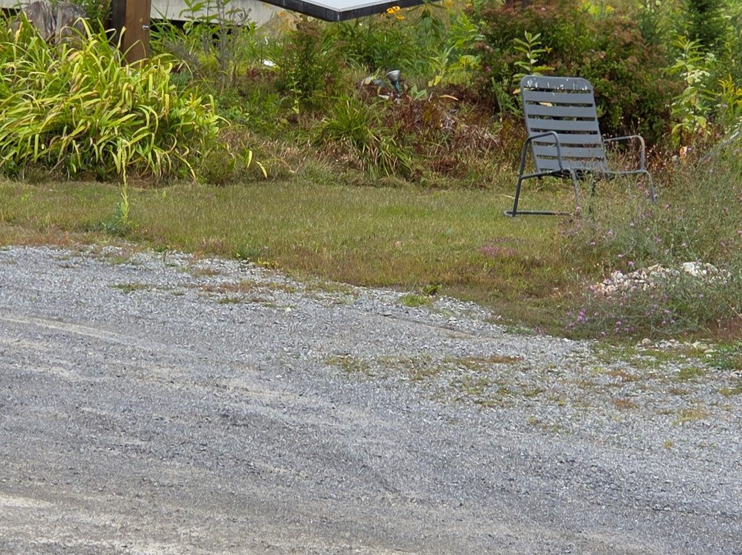 Gore Mountain Lodge主图