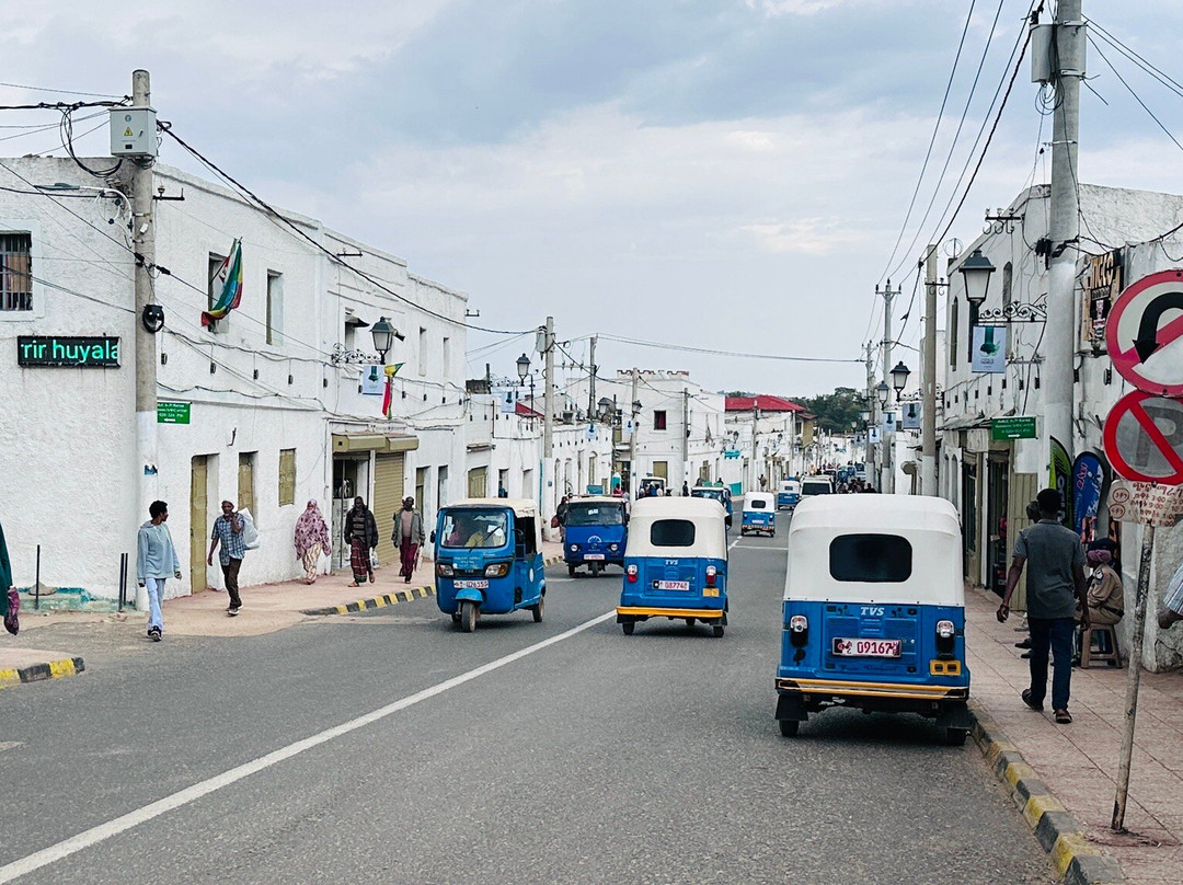 Teddy Harar tour-哈勒尔必去景点