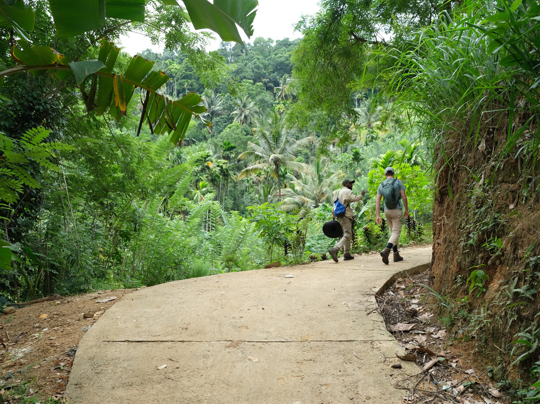Knuckles Trail Blazers-Kandy District必去景点