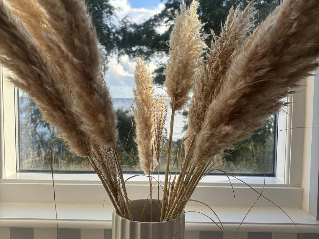 Melsted Badehotel主图