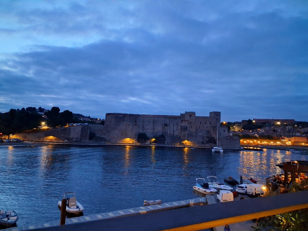 Château Royal de Collioure-科利乌尔必去景点