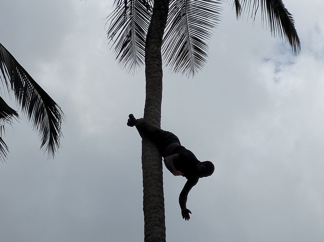 Village Green Spice farm-桑给巴尔岛必去景点