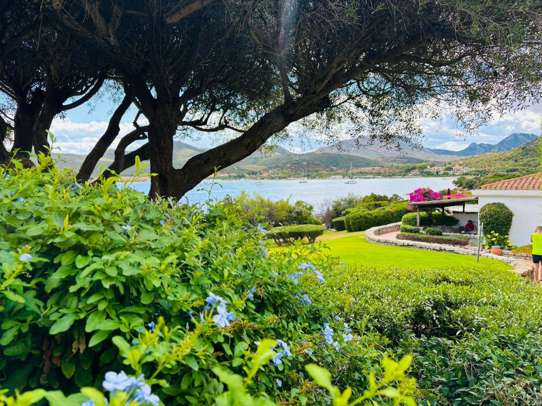 多米纳之家帕露巴尔萨酒店主图