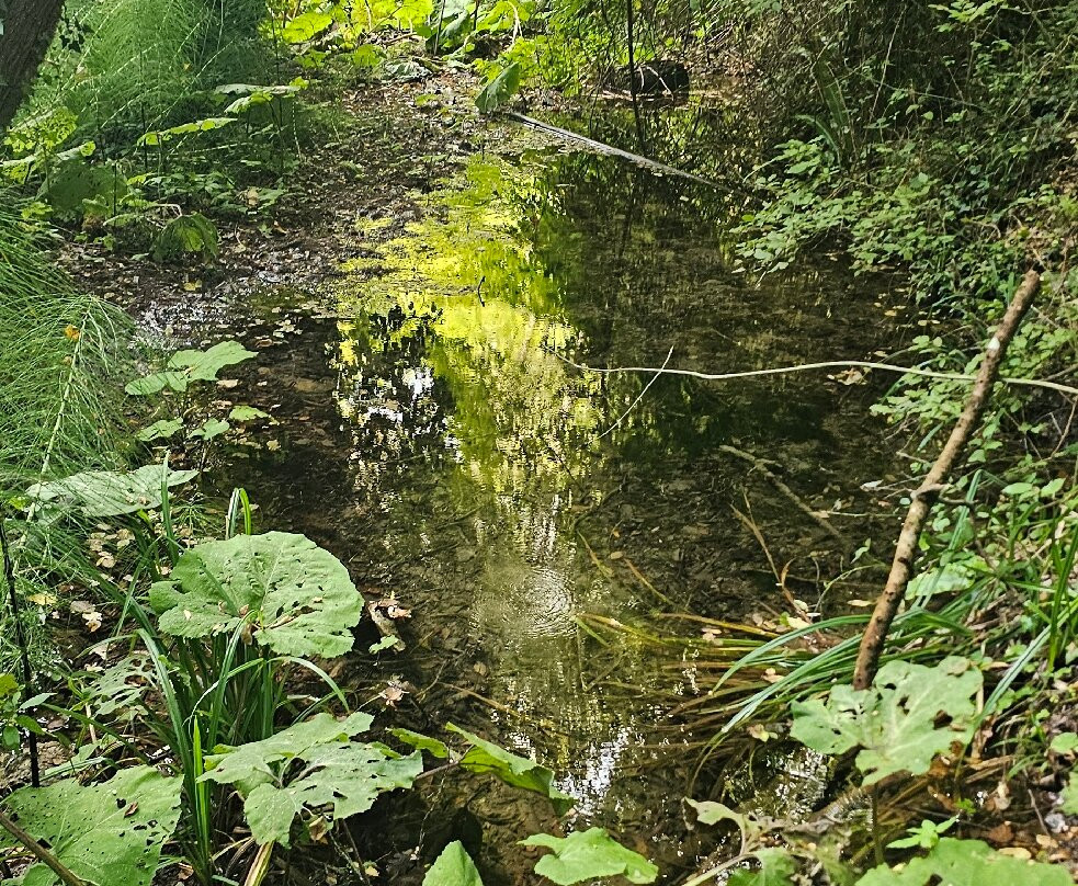 Cascata delle Vallocchie-Castel di Tora必去景点