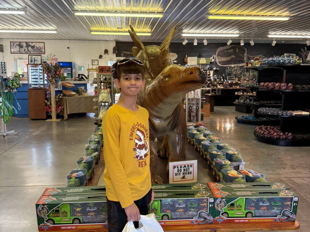 Dinosaur World-Cave City必去景点