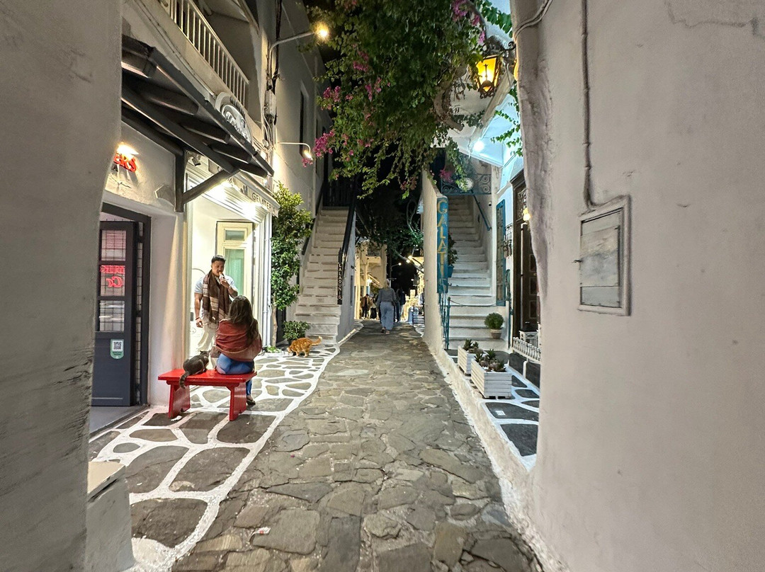 Mykonos Old Port-米克诺斯镇必去景点