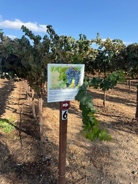 Hotel Mission de Oro主图