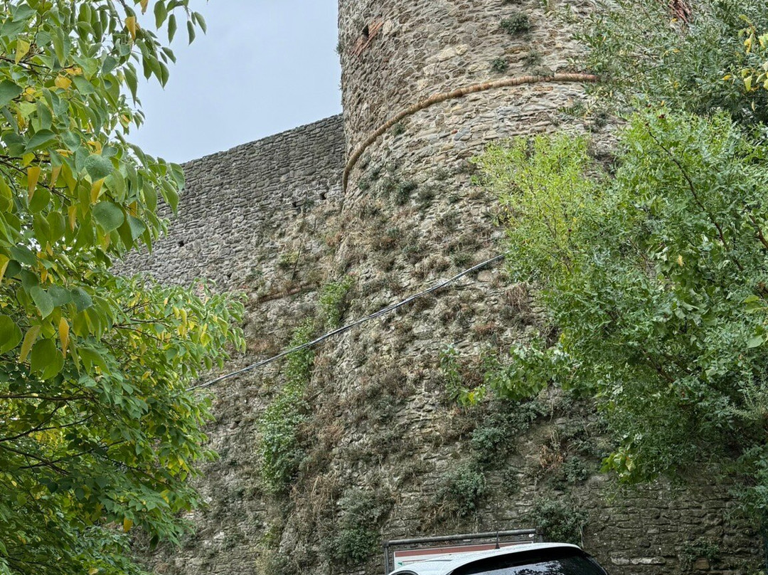 Castello di Predappio Alta-Predappio Alta必去景点