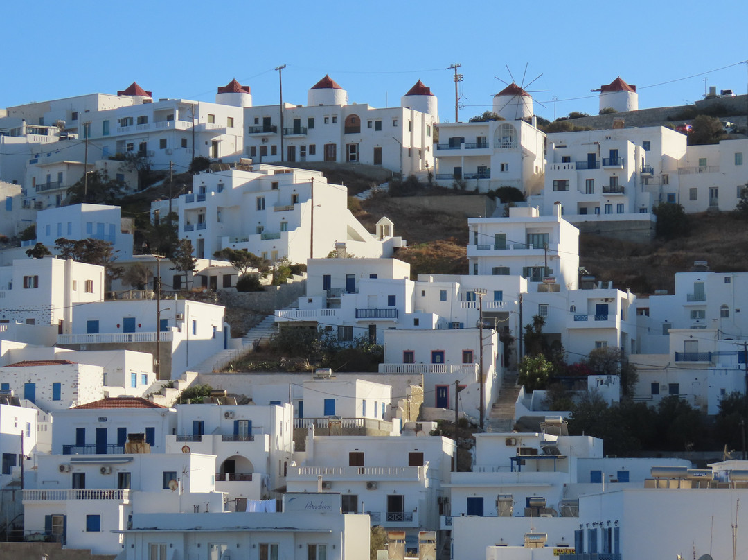 Niriides Luxury Studios主图