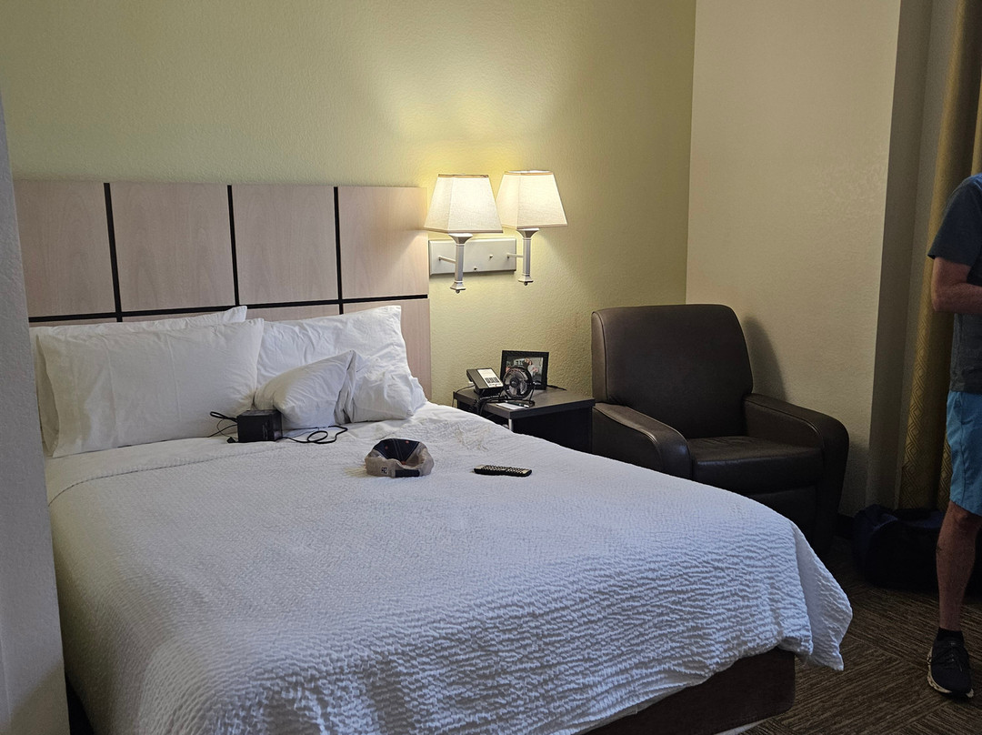 特雷霍特烛木套房酒店主图