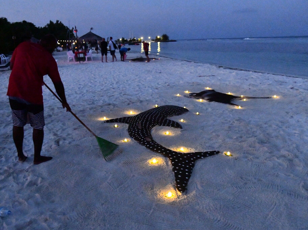 Adora Liveaboard, Maldives-马累必去景点